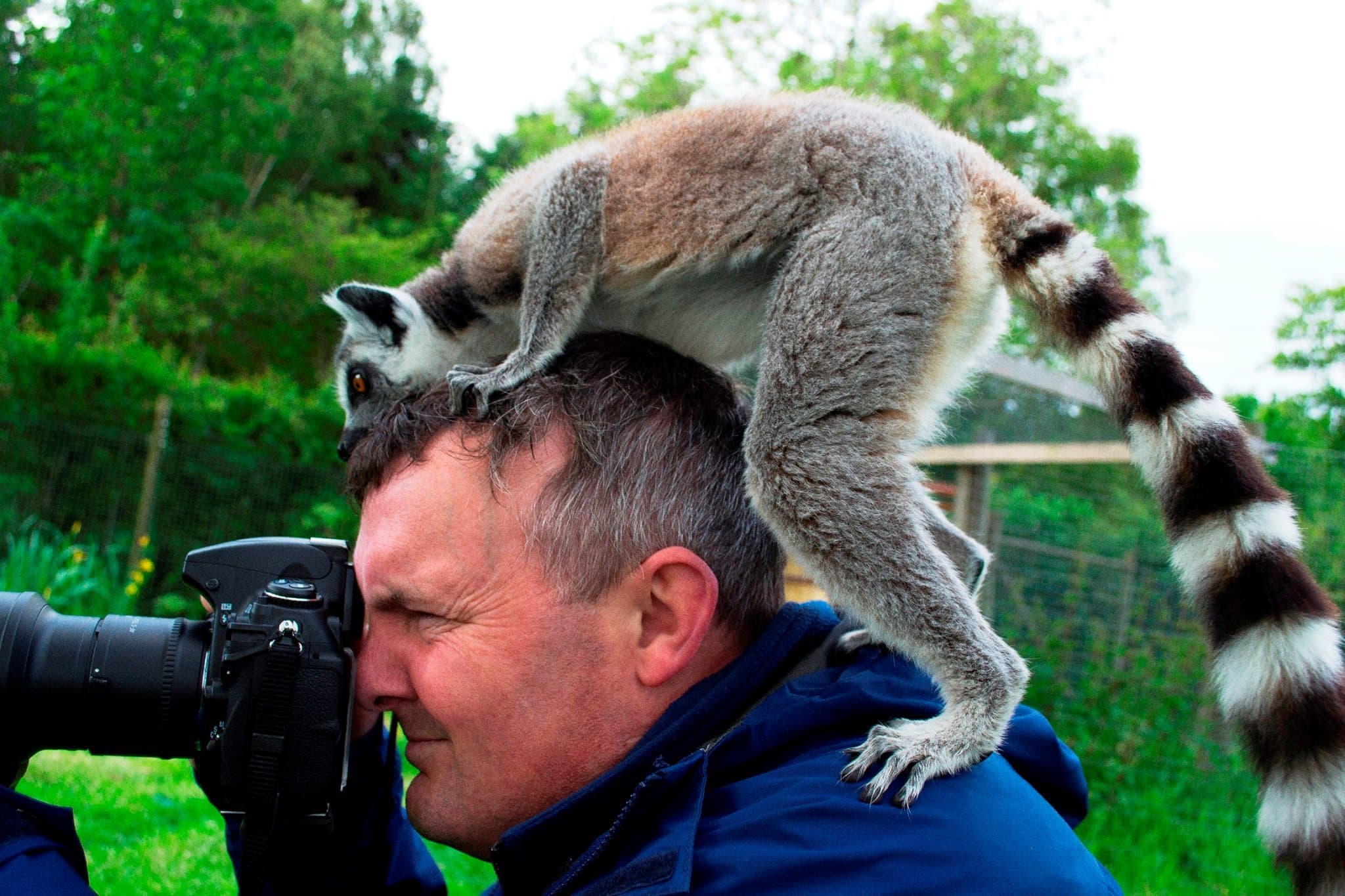 Lake District Wildlife Park - Photo