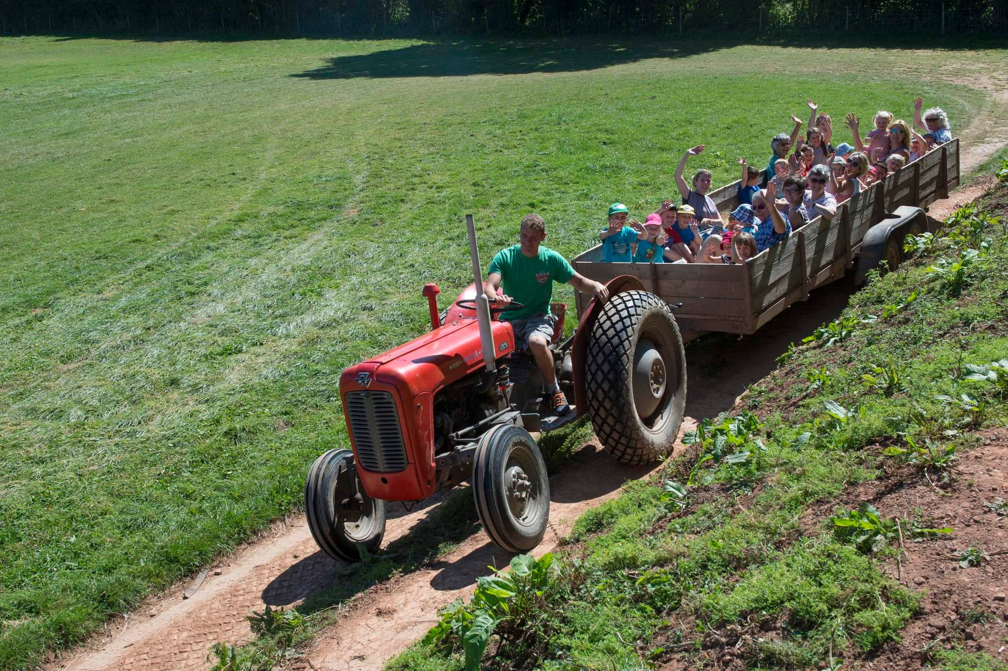 Newbridge Farm Park