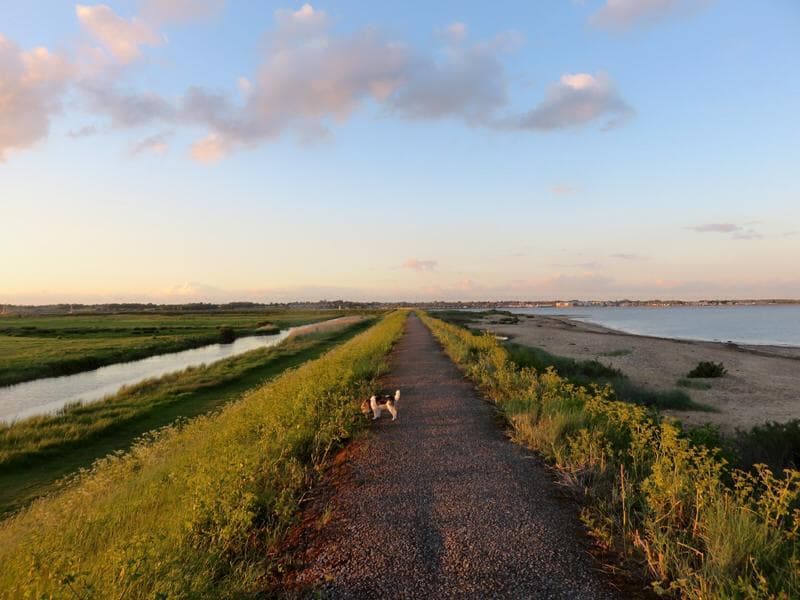 Cudmore Grove Country Park - Photo 1