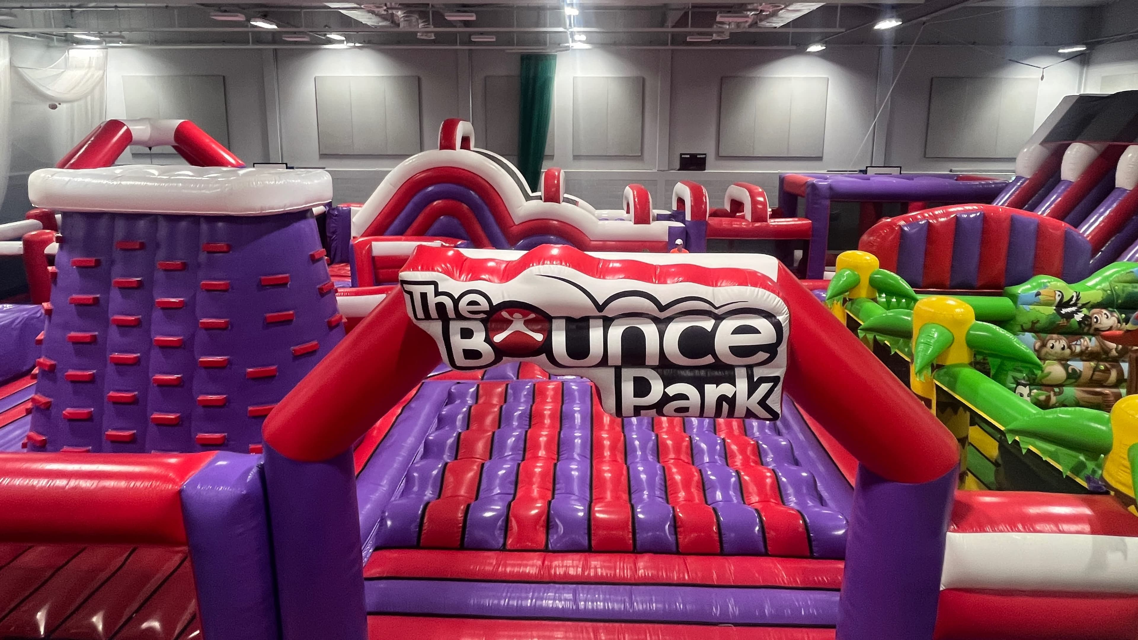 The Bounce Park Reading