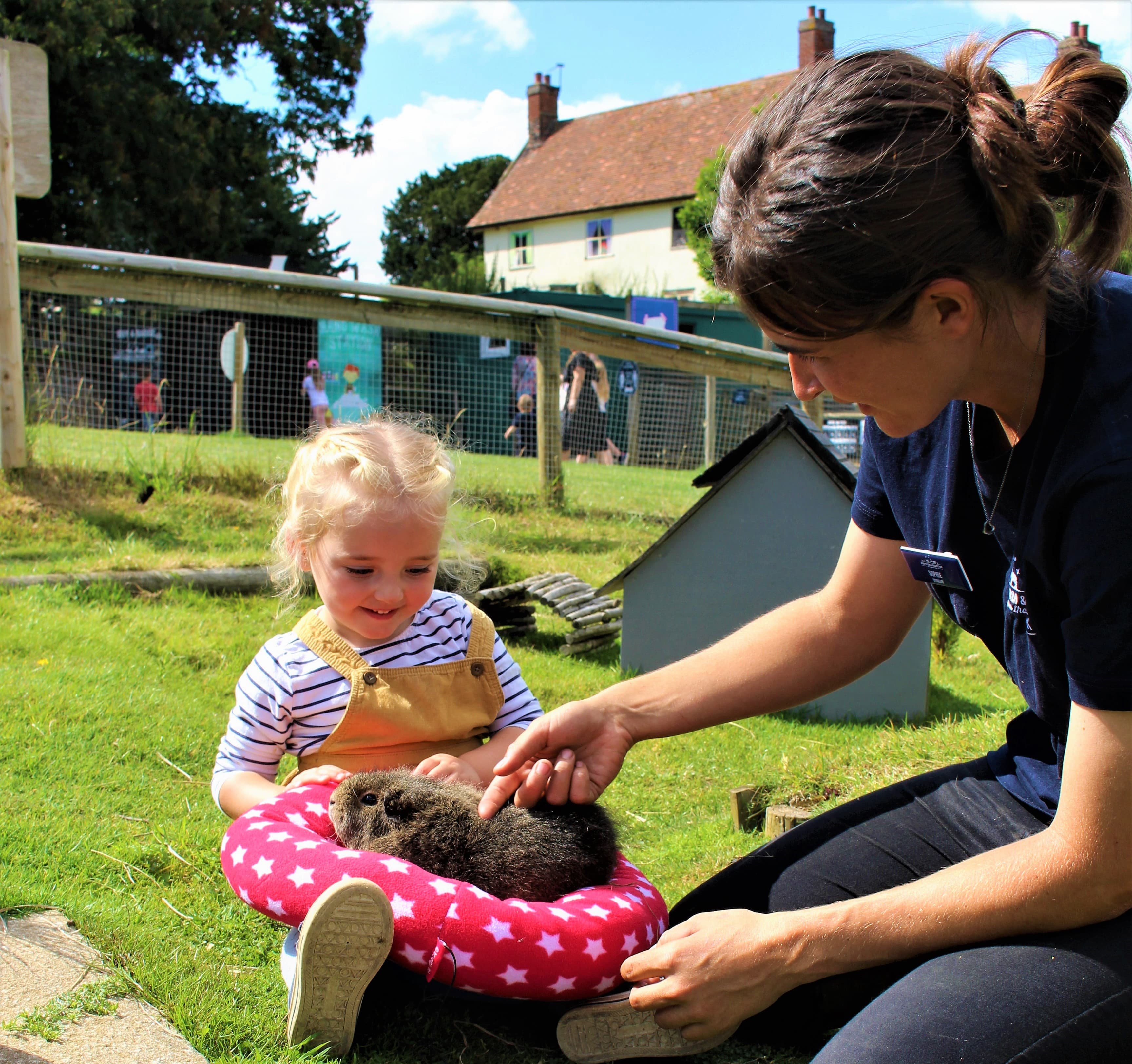 Jimmy's Farm and Wildlife Park - Photo