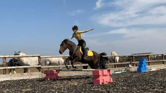 Witney Pony Partners - Photo