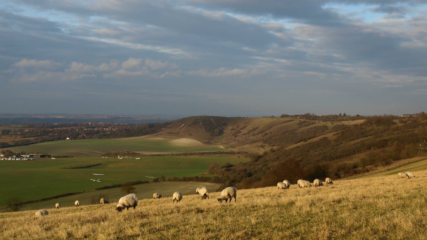 Dunstable Downs & Gateway Centre - Photo 1