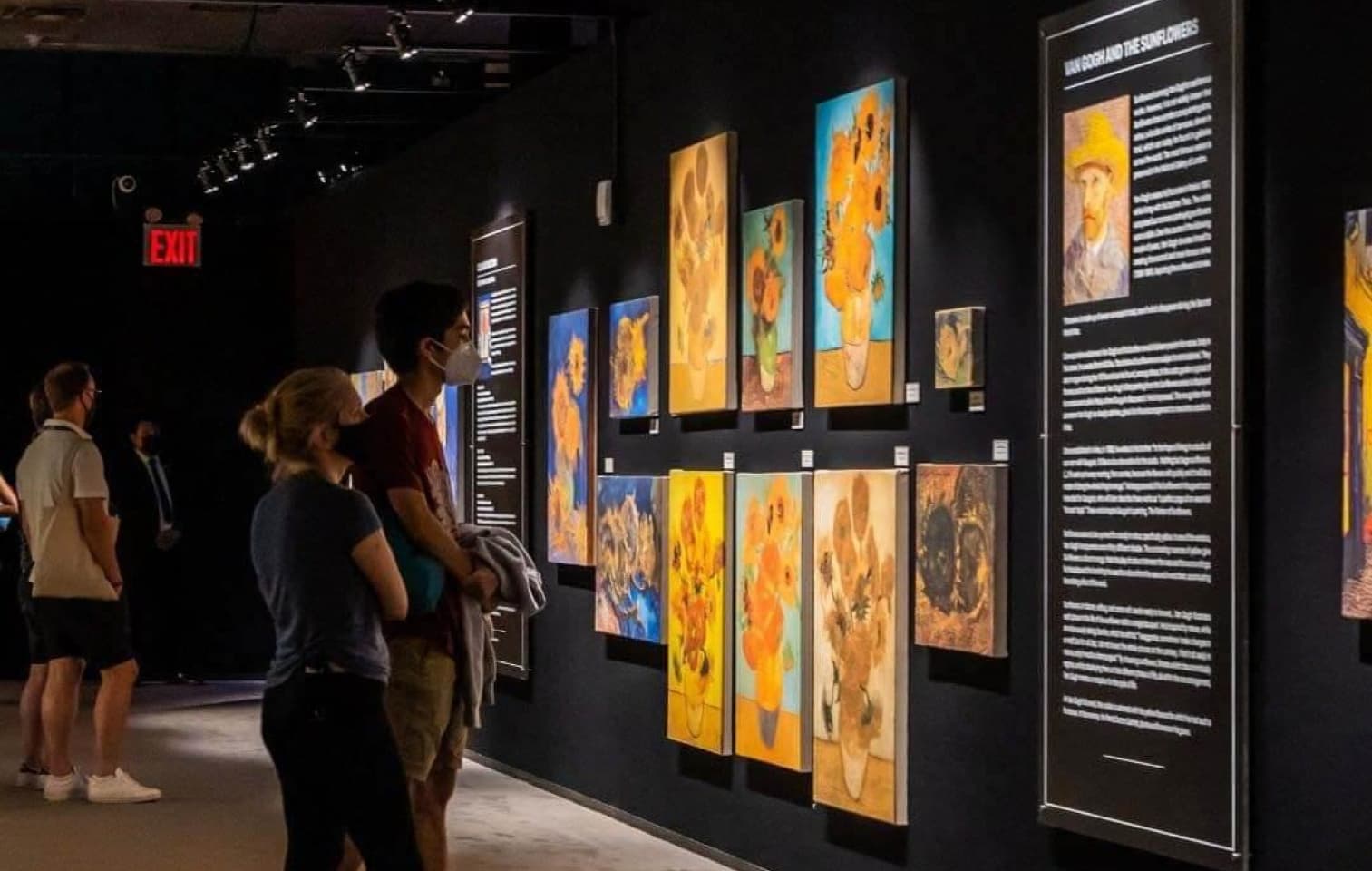 Van Gogh The Immersive Experience - Photo