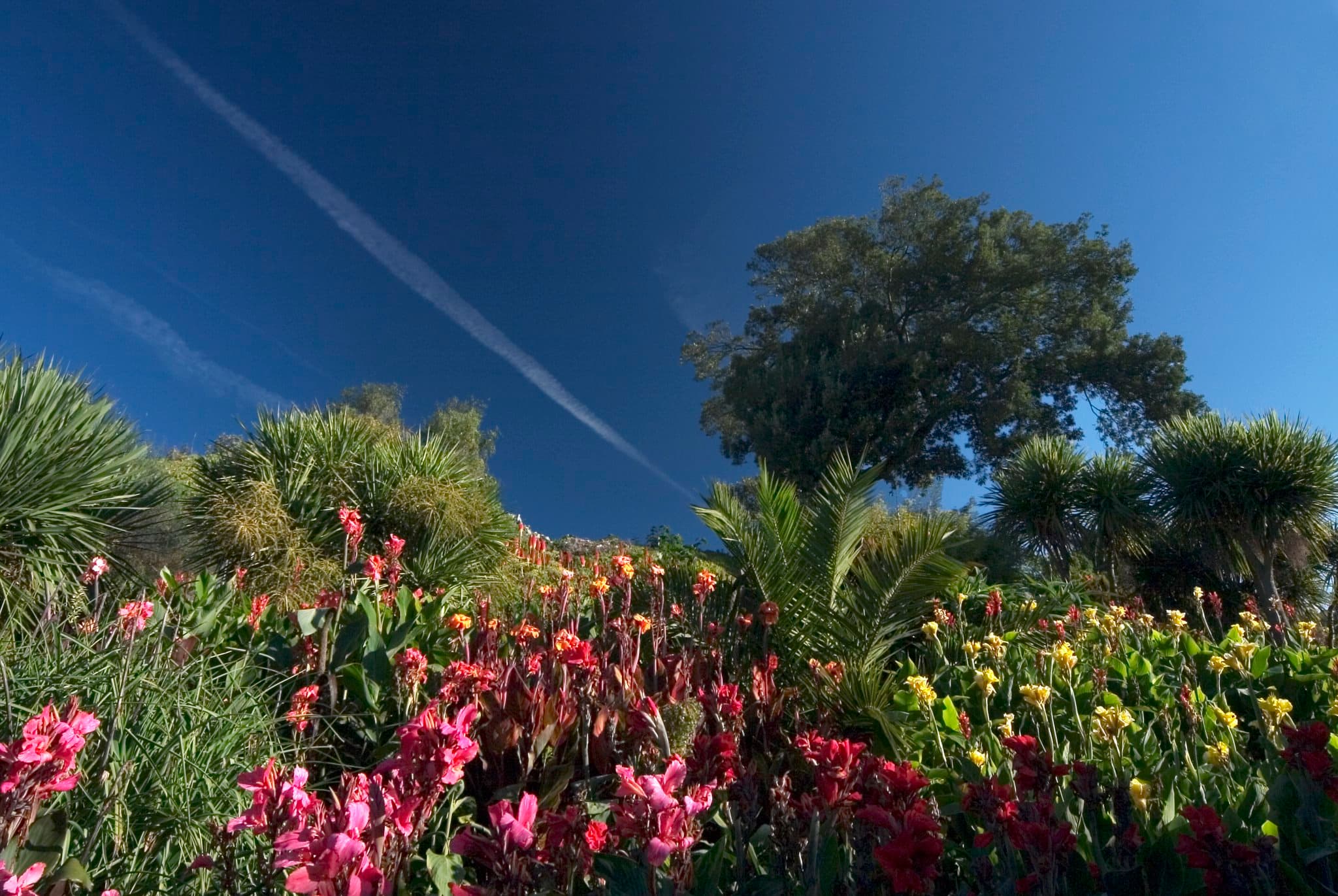 Ventnor Botanic Gardens - Photo