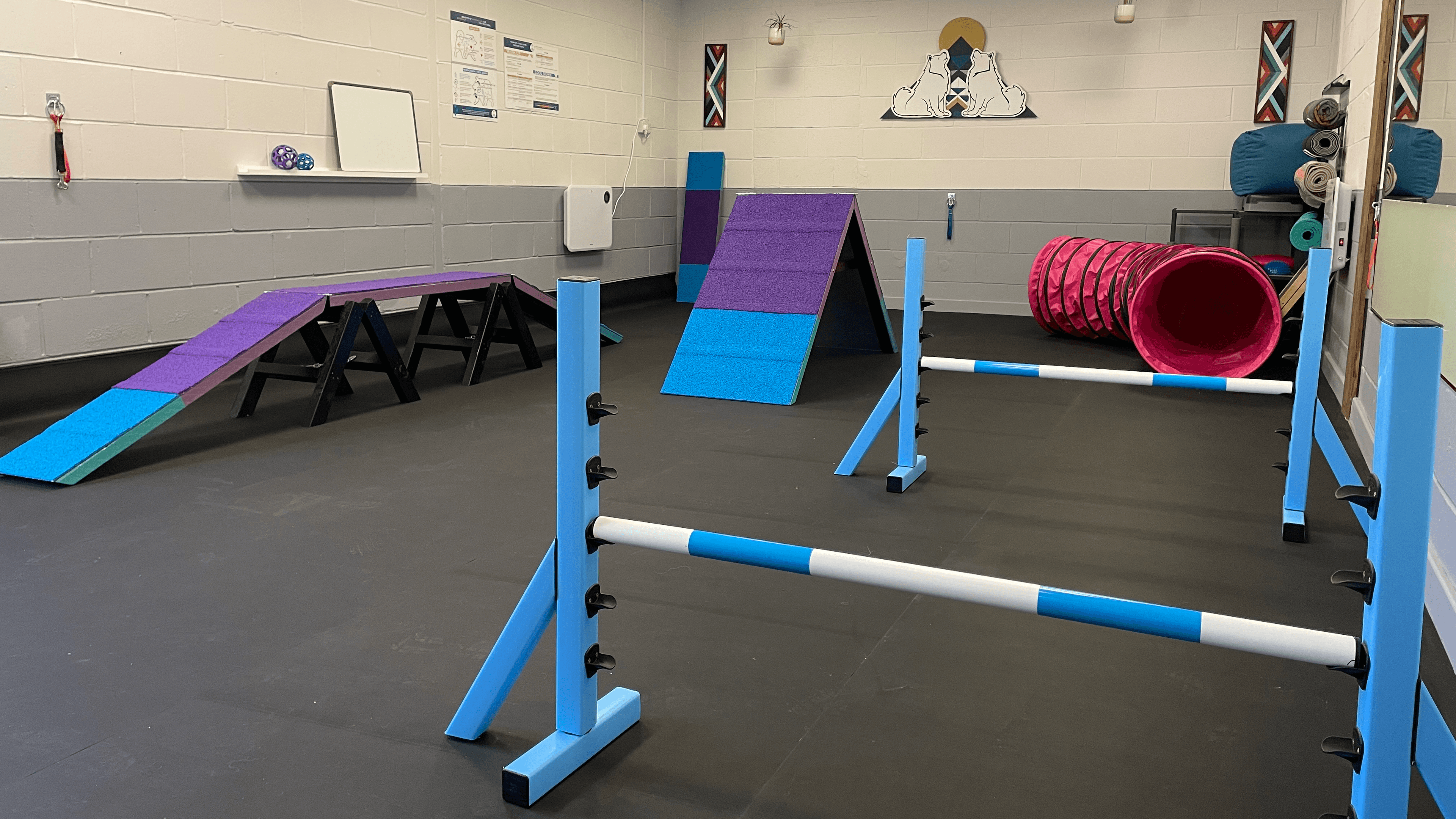 Peak Performance Dog Gym, Play and Training