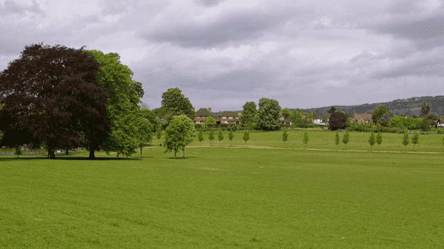Priory Park Reigate - Photo