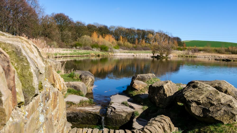 Herrington Country Park - Photo