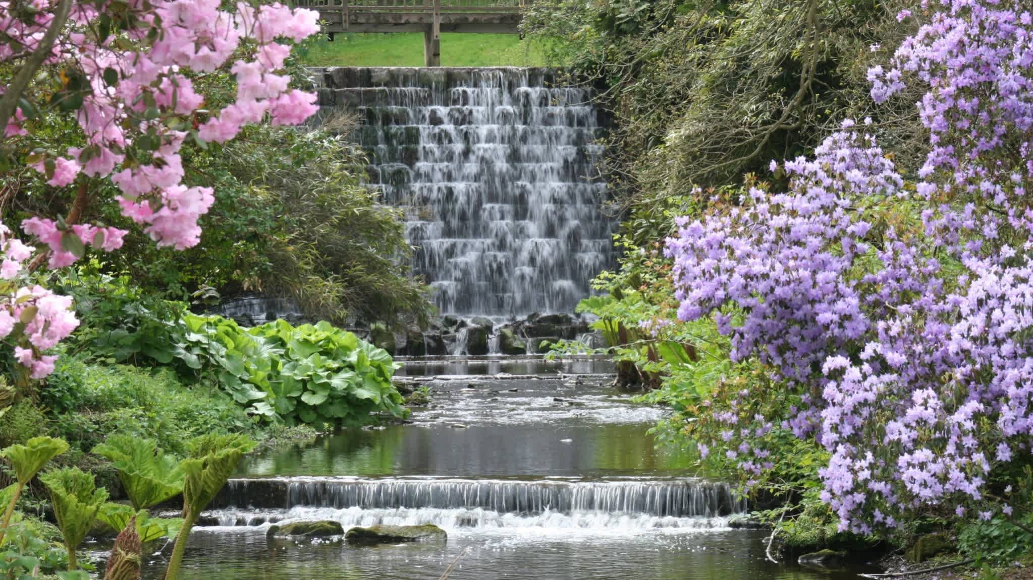 Harewood House - Photo