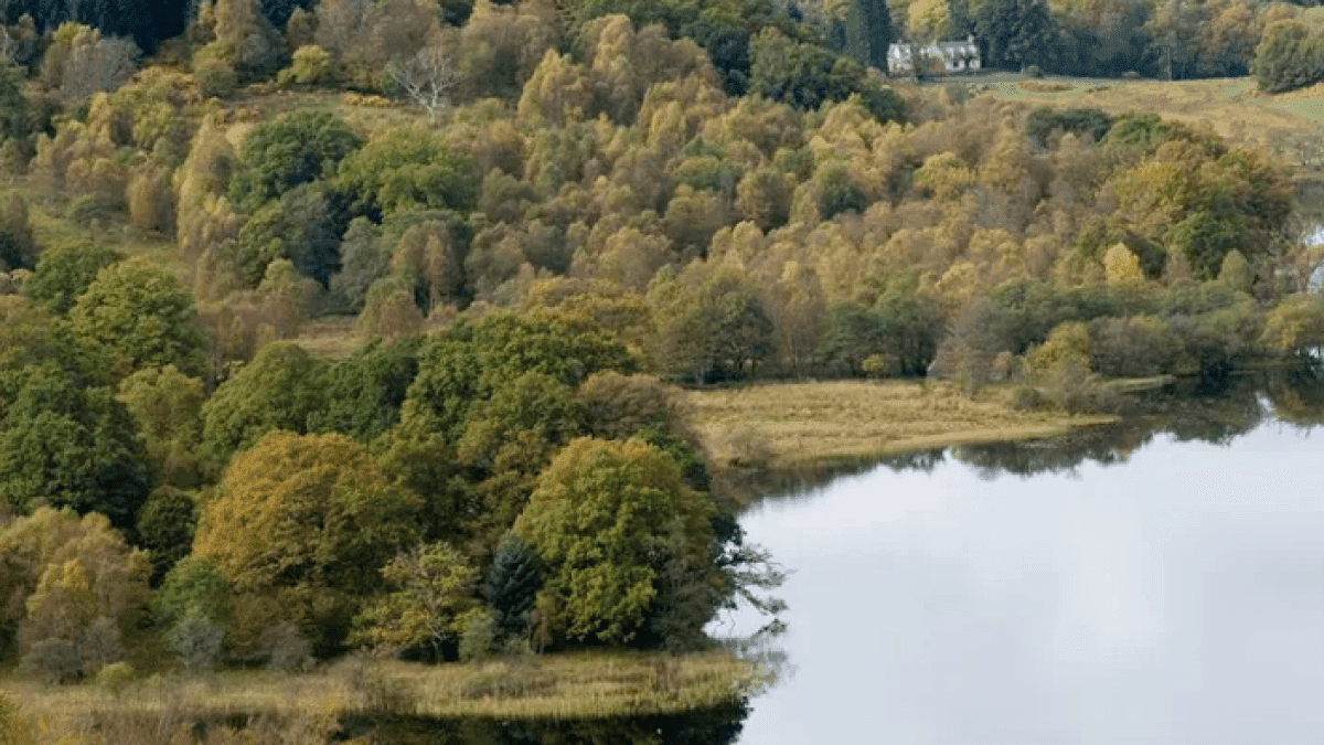 Queen Elizabeth Forest Park