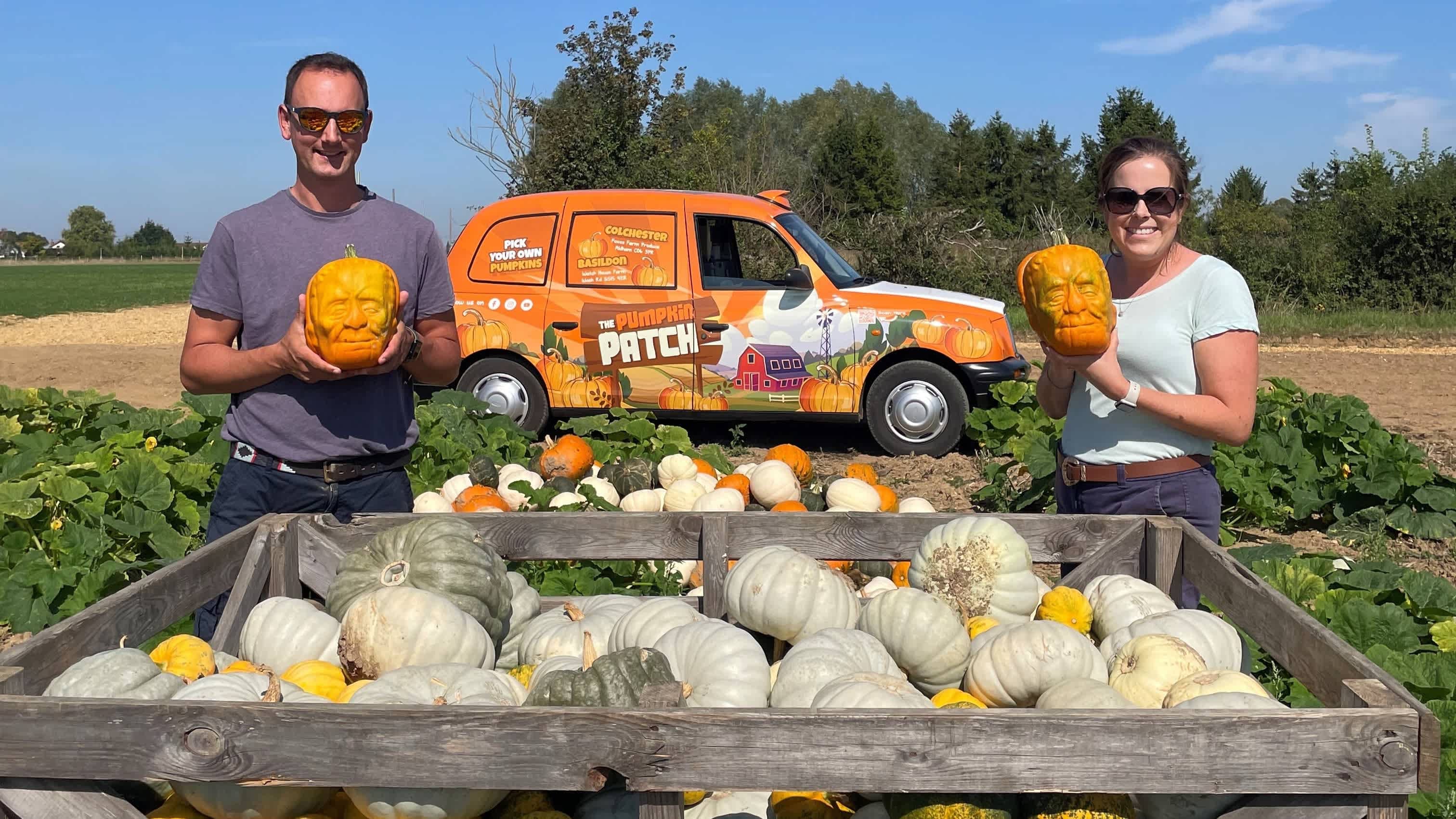 The Pumpkin Patch Colchester - Photo