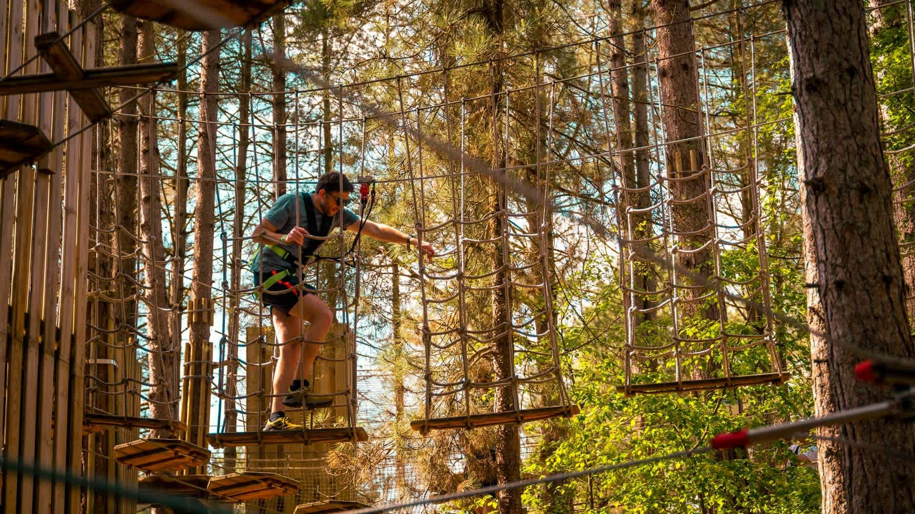 Go Ape Bracknell - Photo