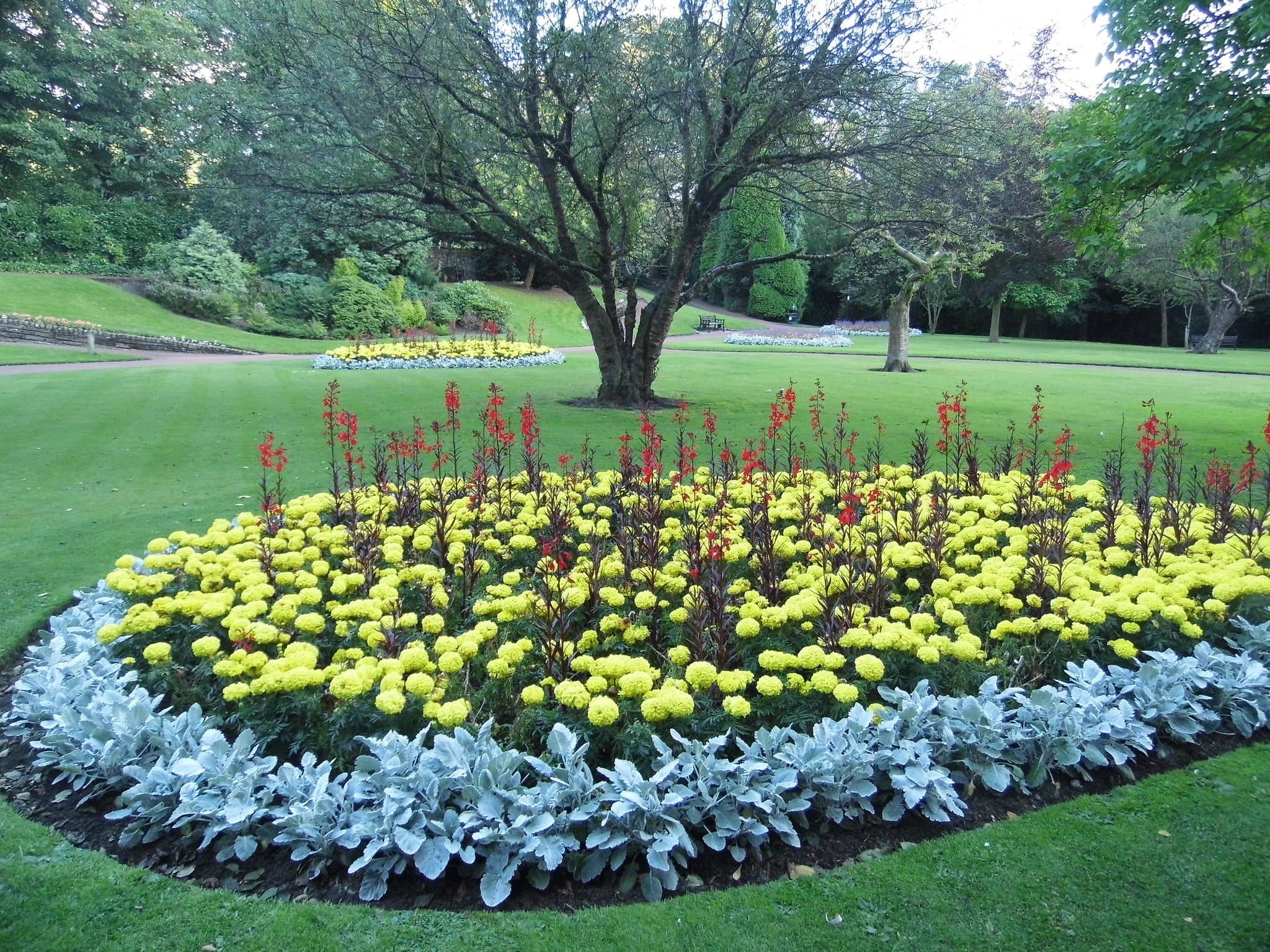 Manor Park
