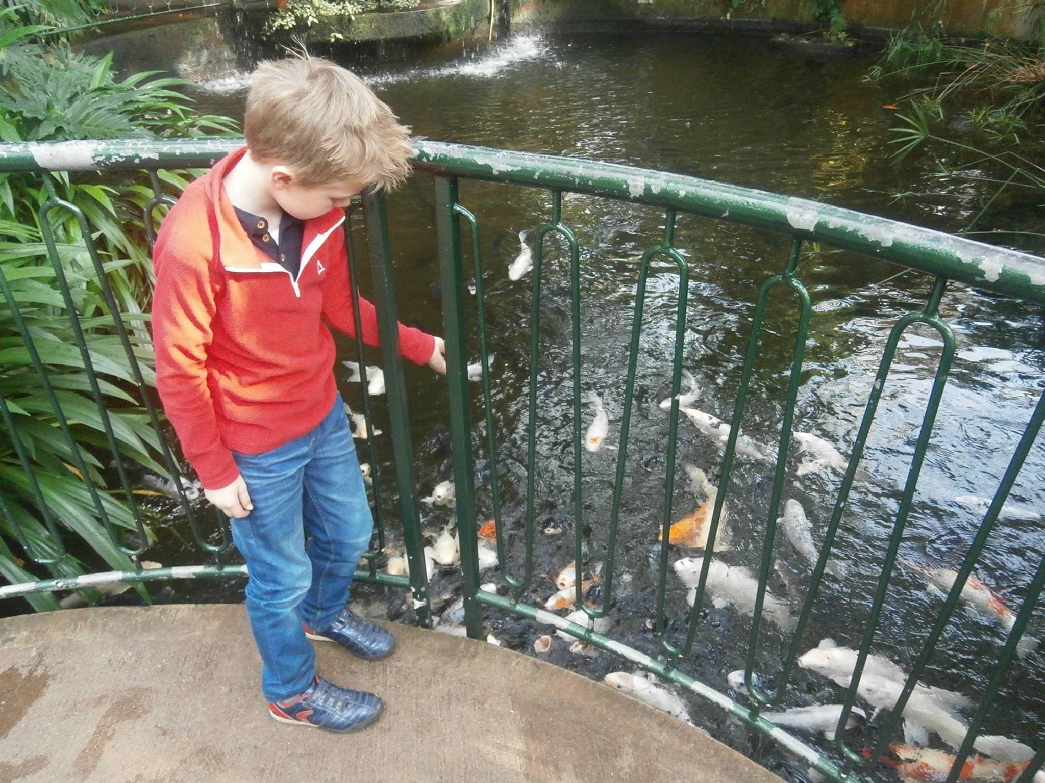 Anker Wood at Dobbies - Photo