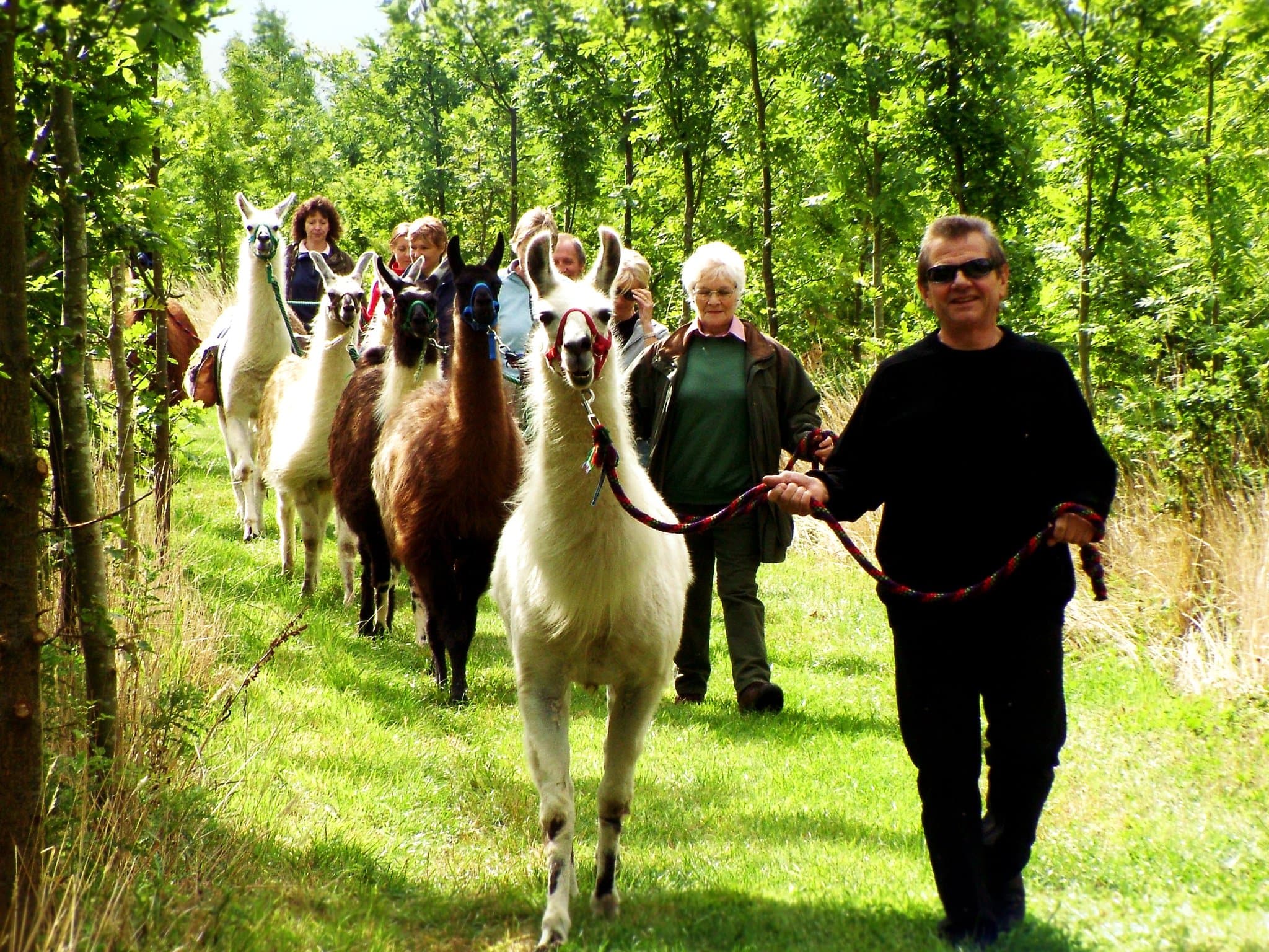 Catanger Llama Trekking - Photo 1