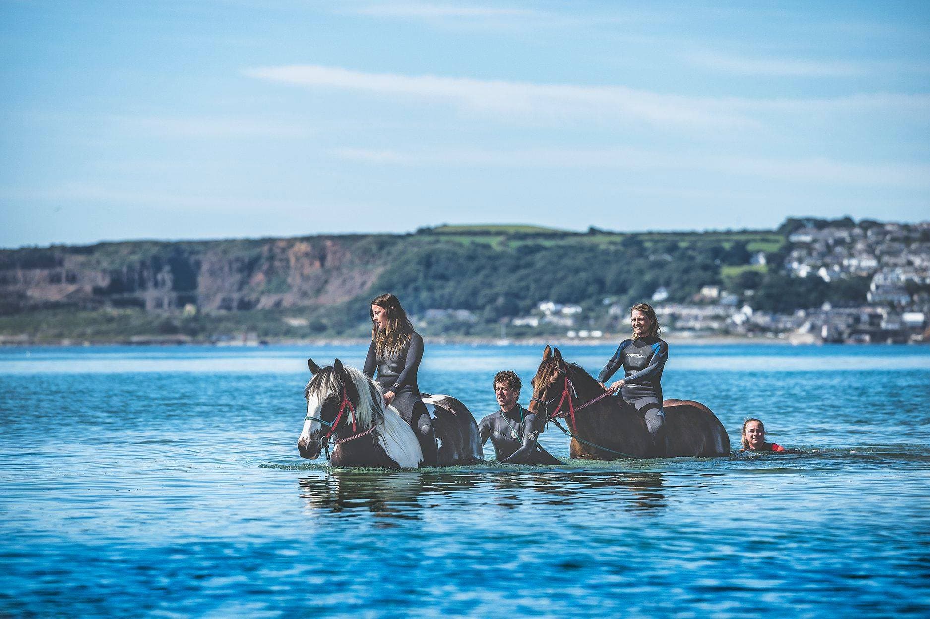Cornwall Swimming Horses