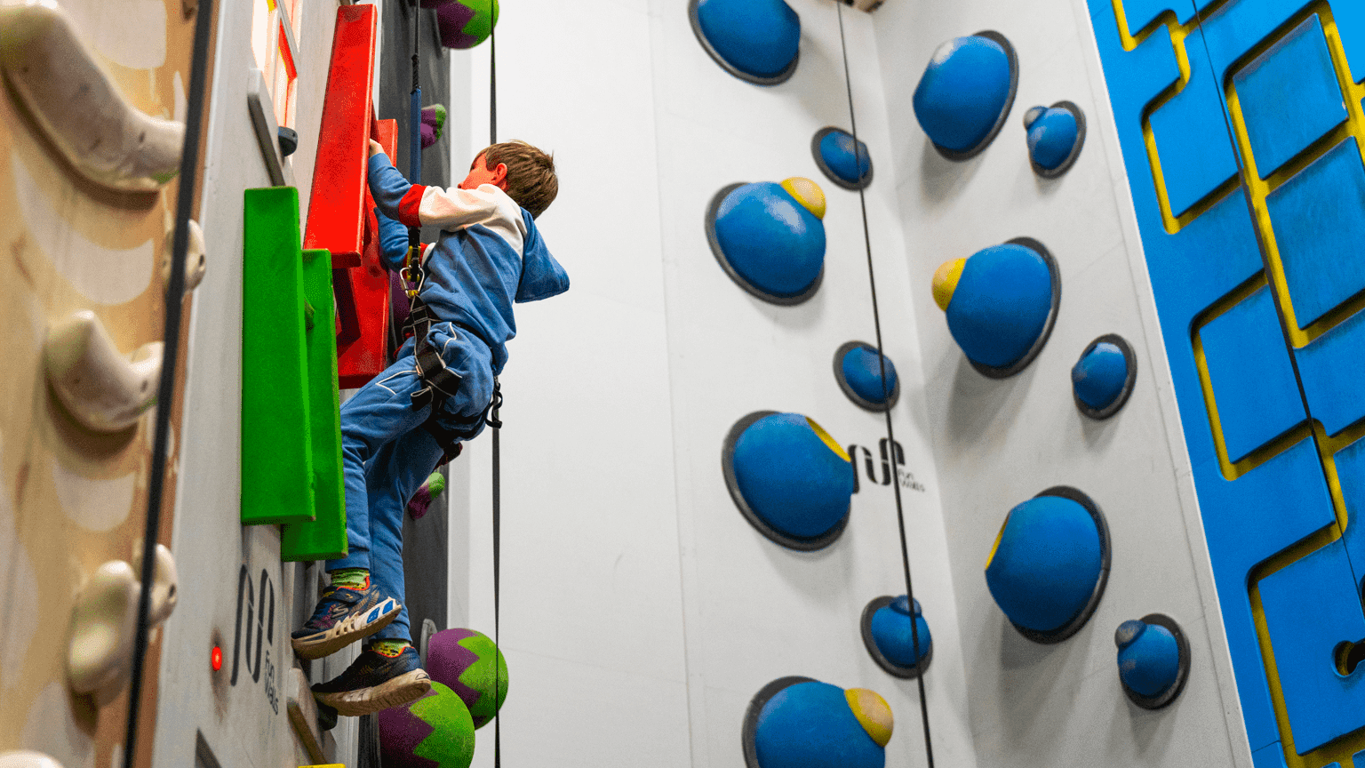 Crazy Climb Bristol - Photo