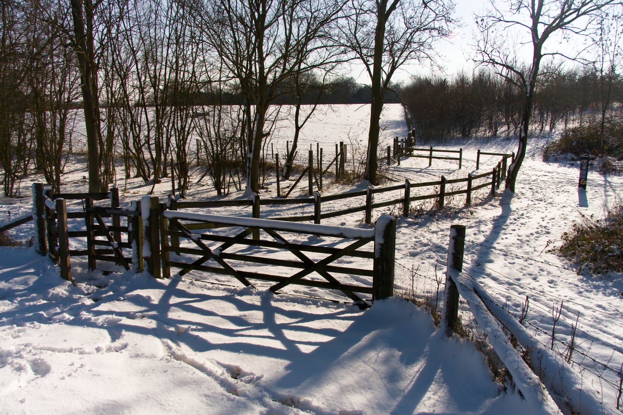 Thorndon Country Park