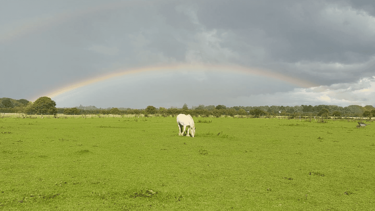 Witney Pony Partners - Photo 1