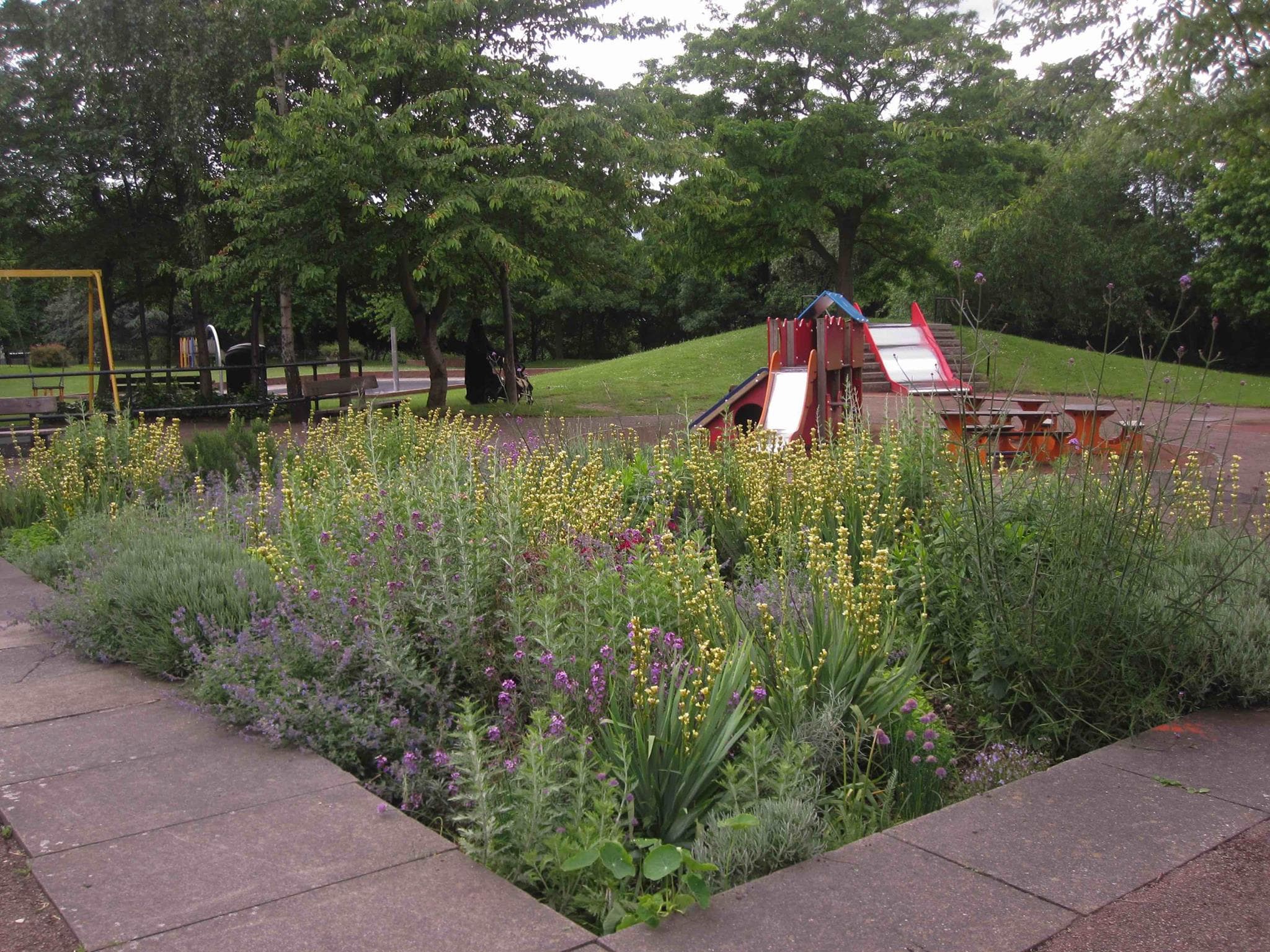 Barnard Park Adventure Playground - Photo