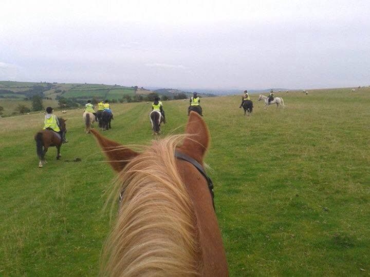 Long Mountain Pony Trekking Centre - Photo 1