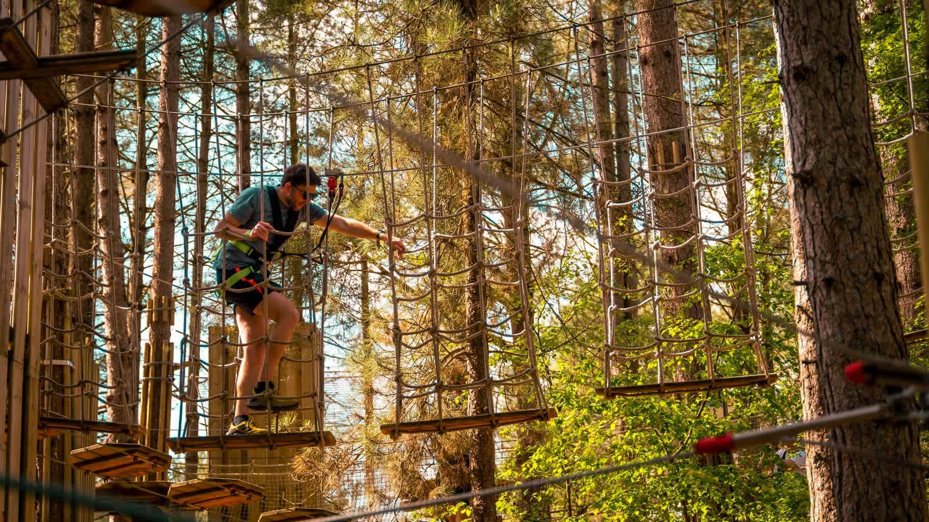 Go Ape Thetford - Photo