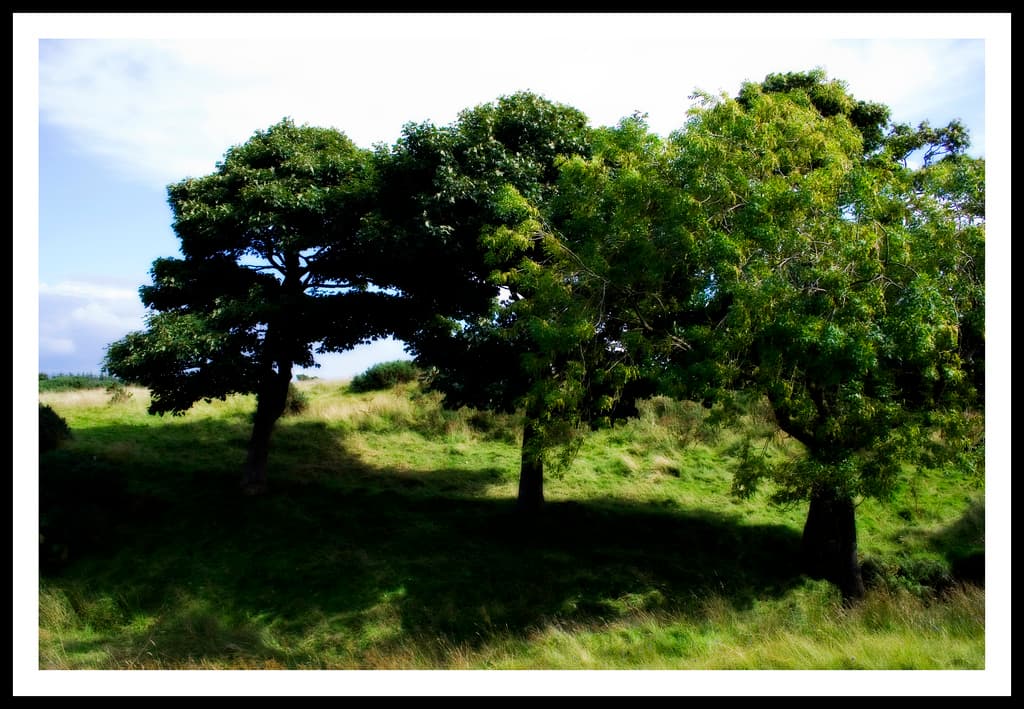 Gleniffer Braes Country Park - Photo 1