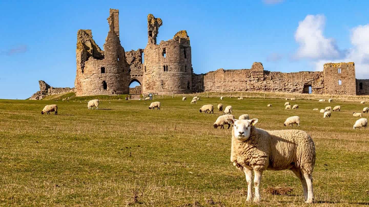 Dunstanburgh Castle - Photo