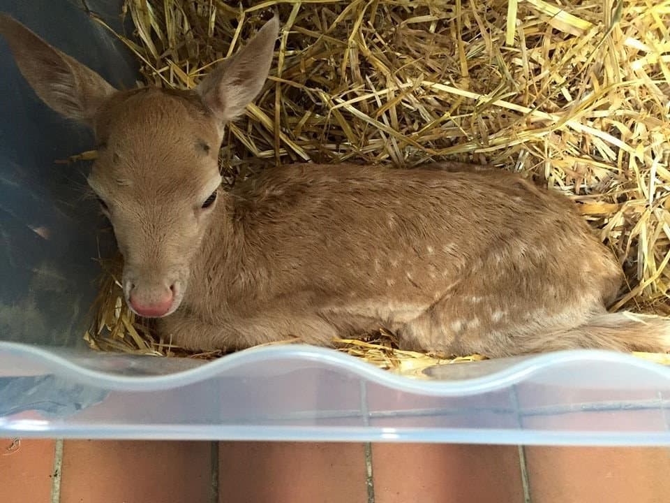 Monk Park Farm Visitor Centre - Photo 1