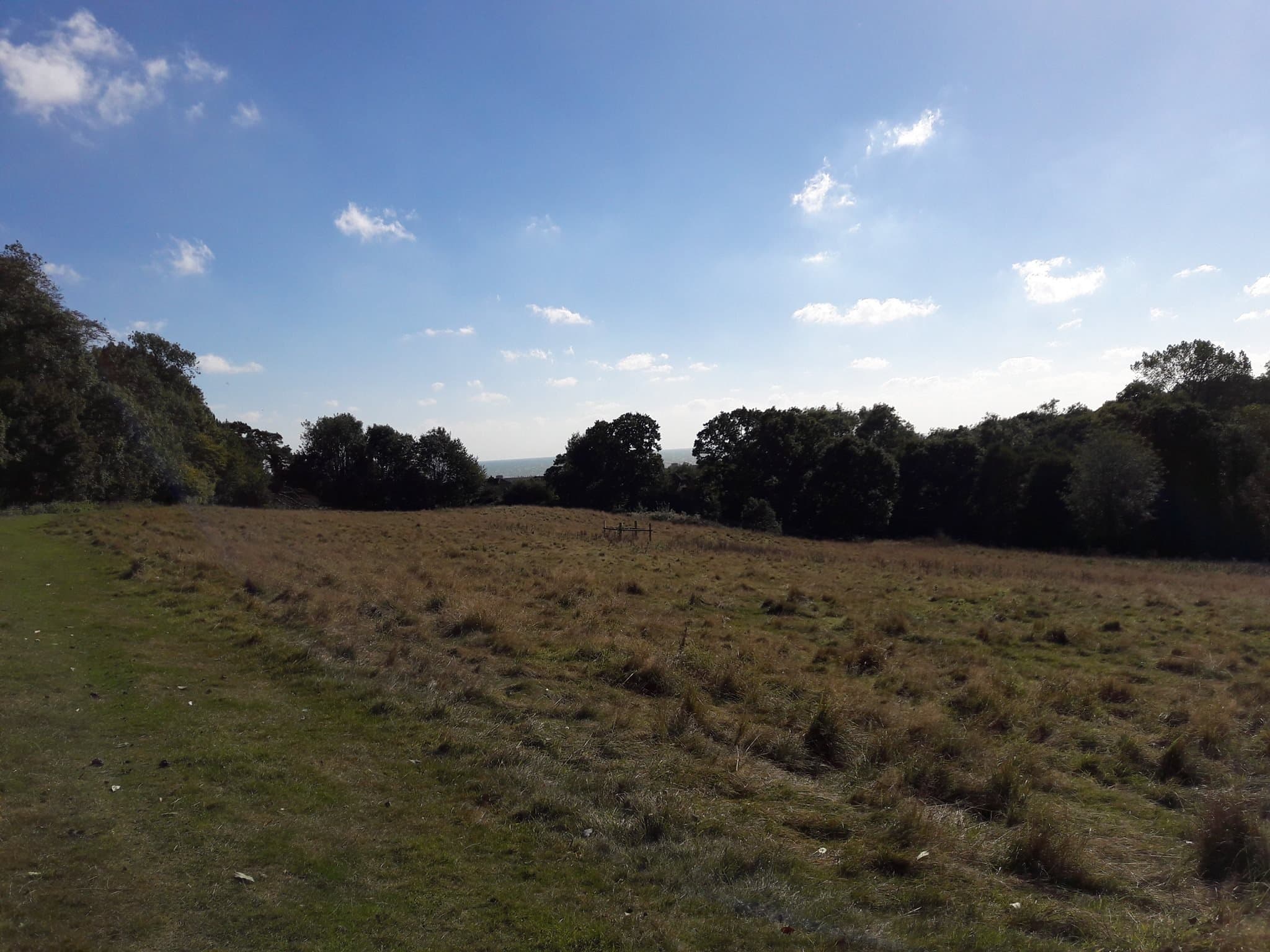 Brockhill Country Park - Photo