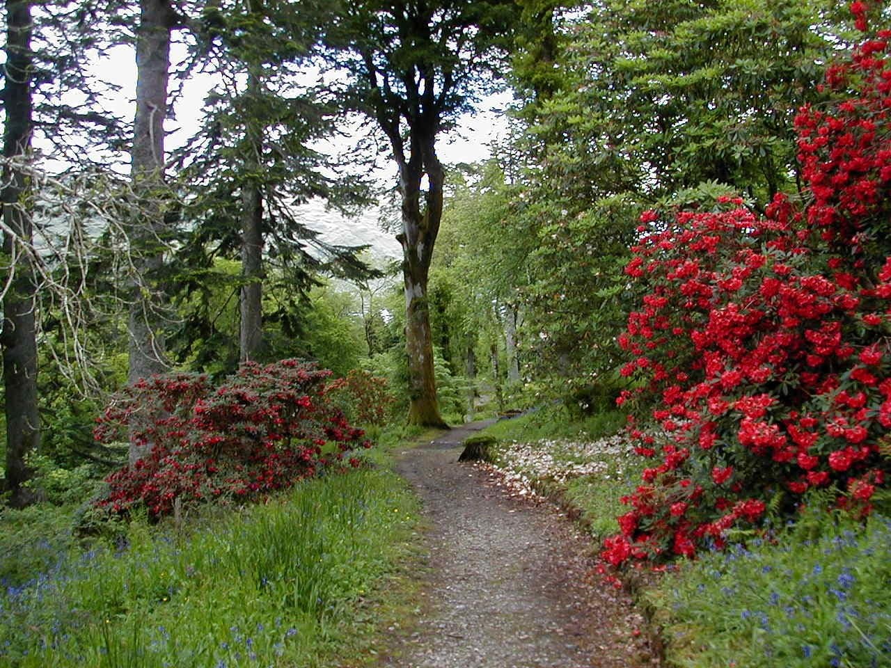 Ardkinglas Woodland Gardens