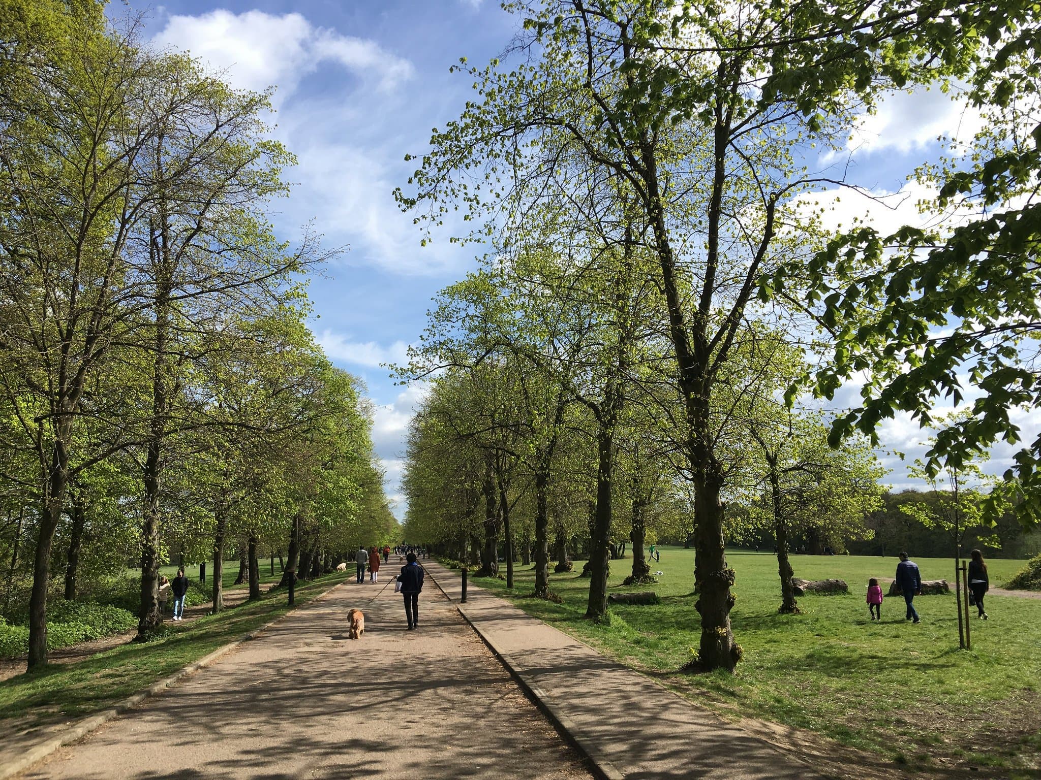 Trent Park Enfield
