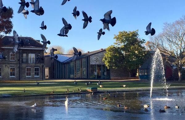 Heath Robinson Museum - Photo