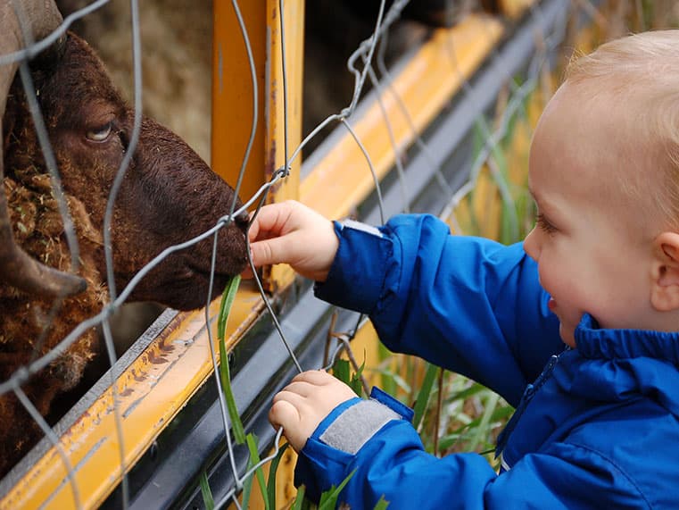 Reddish Vale Farm - Photo 1