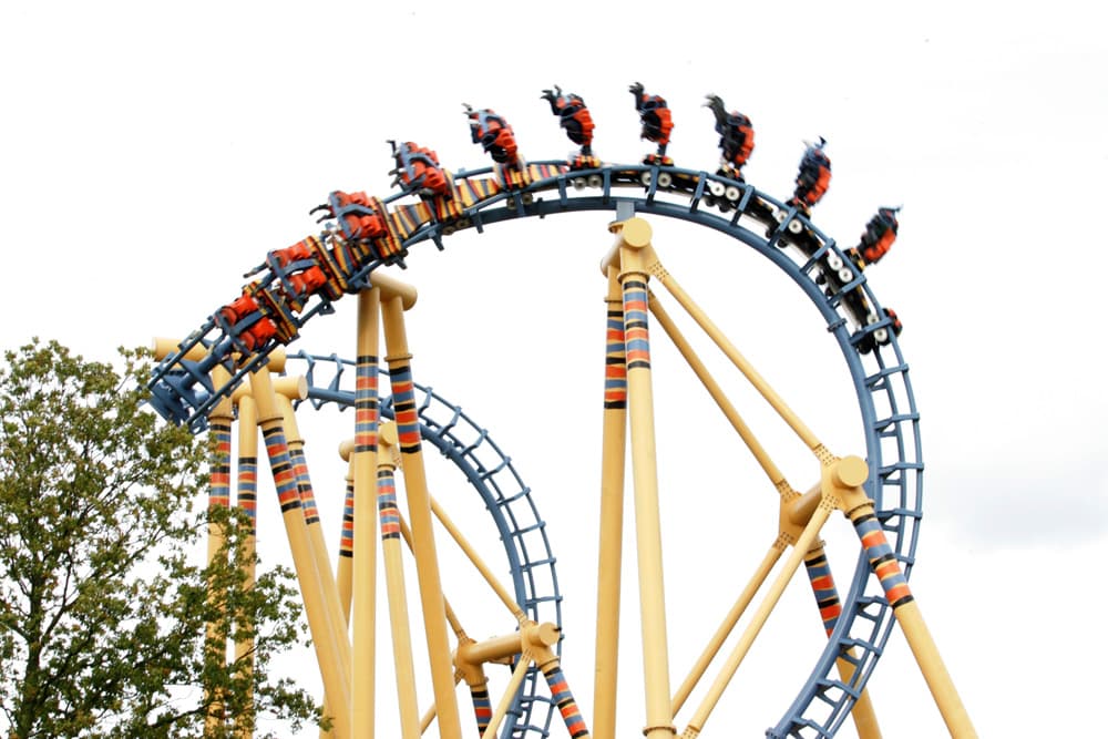 Flamingo Land