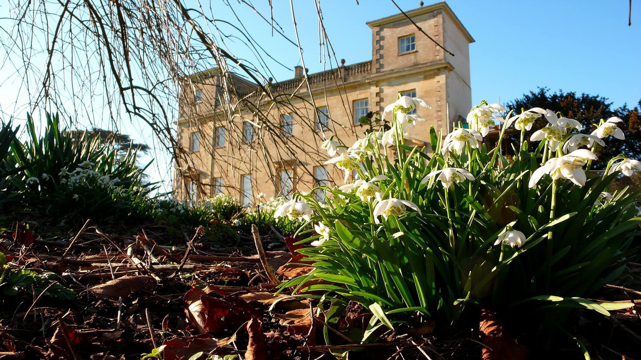 Lydiard Park
