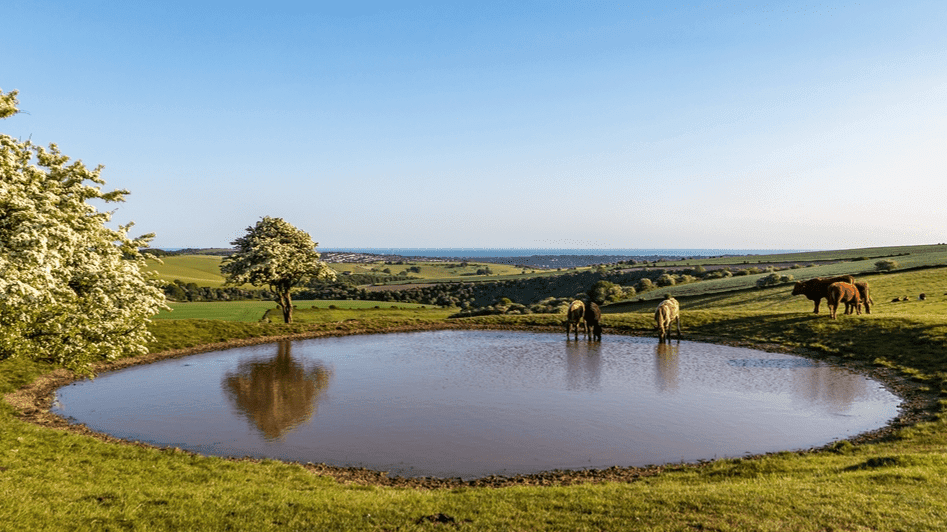 Ditchling Beacon-National Trust - Photo