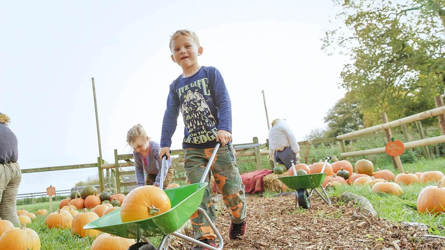 West Lodge Farm Park - Photo