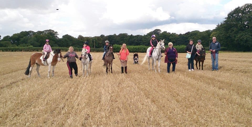 Willow Farm Riding School