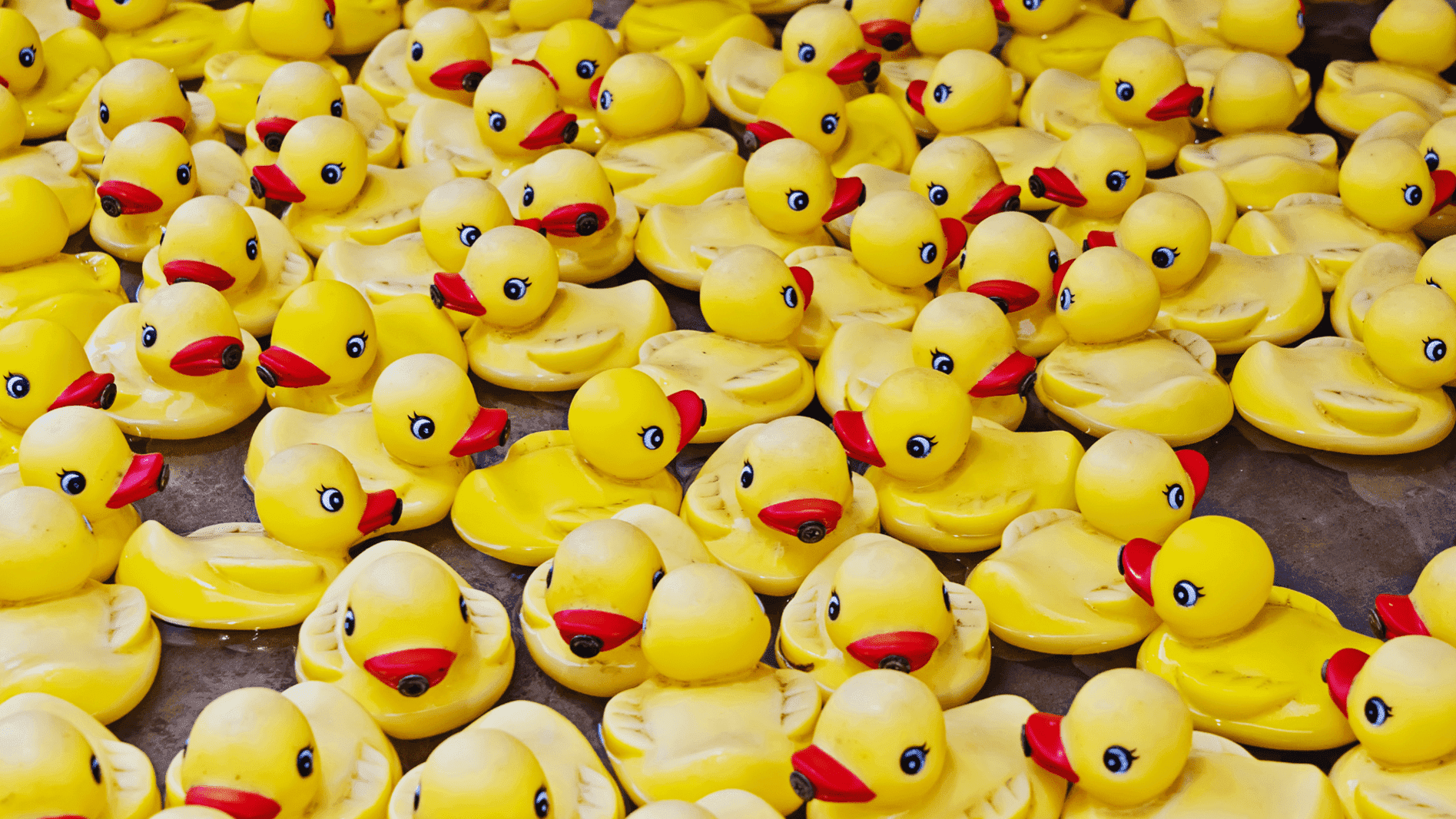 Charity Duck Dash and Raft Race - Photo