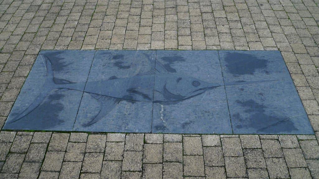 Seven Seas Fish Trail - Photo 1