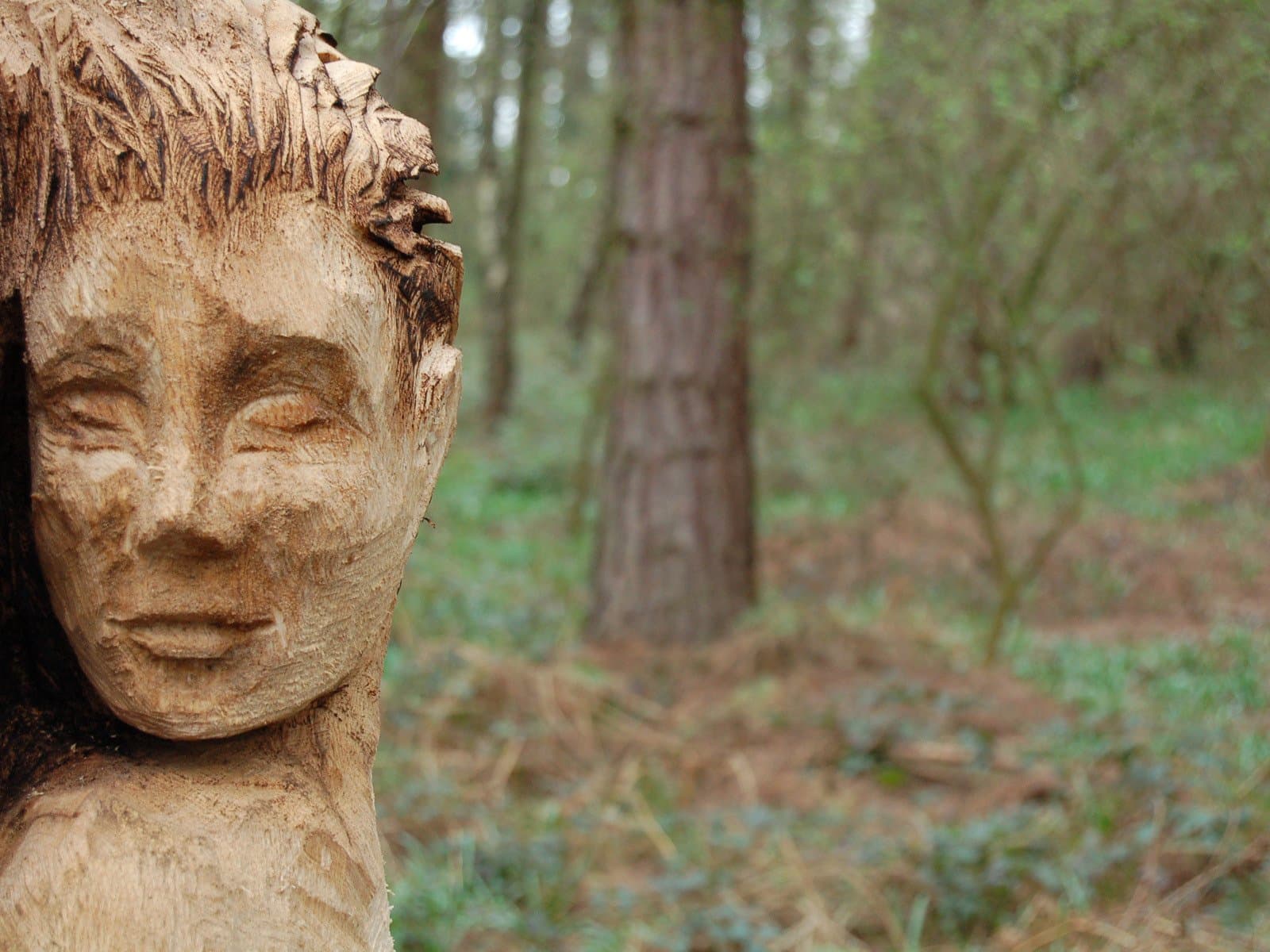 St Ives Estate Country Park - Photo