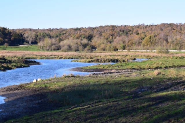 Fell End Nature Reserve - Photo 1