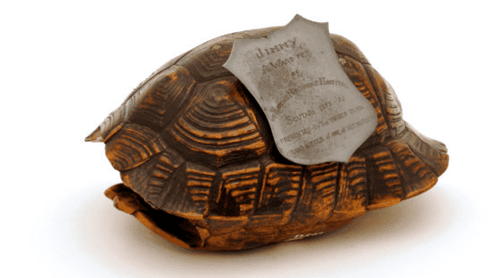 Florence Nightingale Museum - Photo