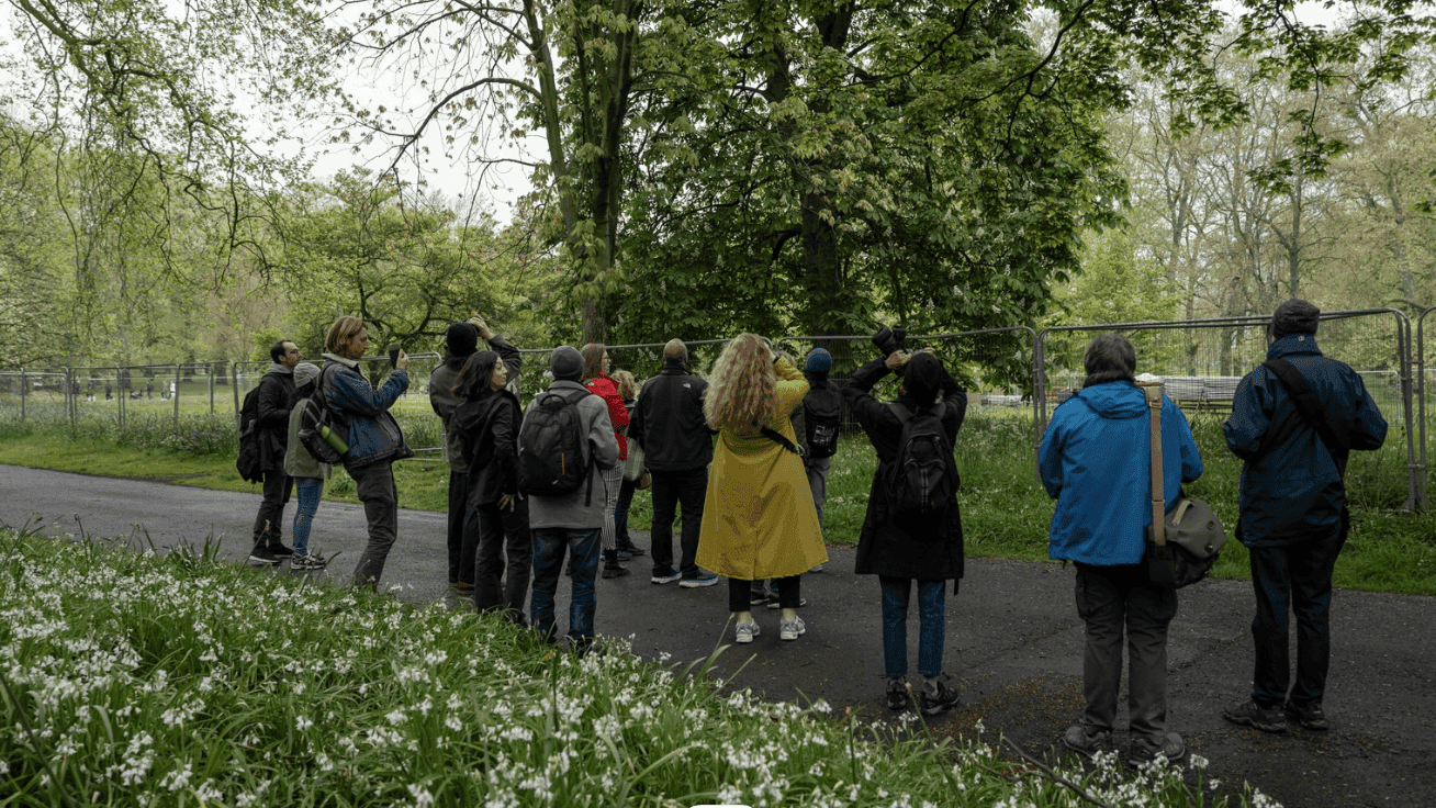 Urban Bird Walk London - Photo