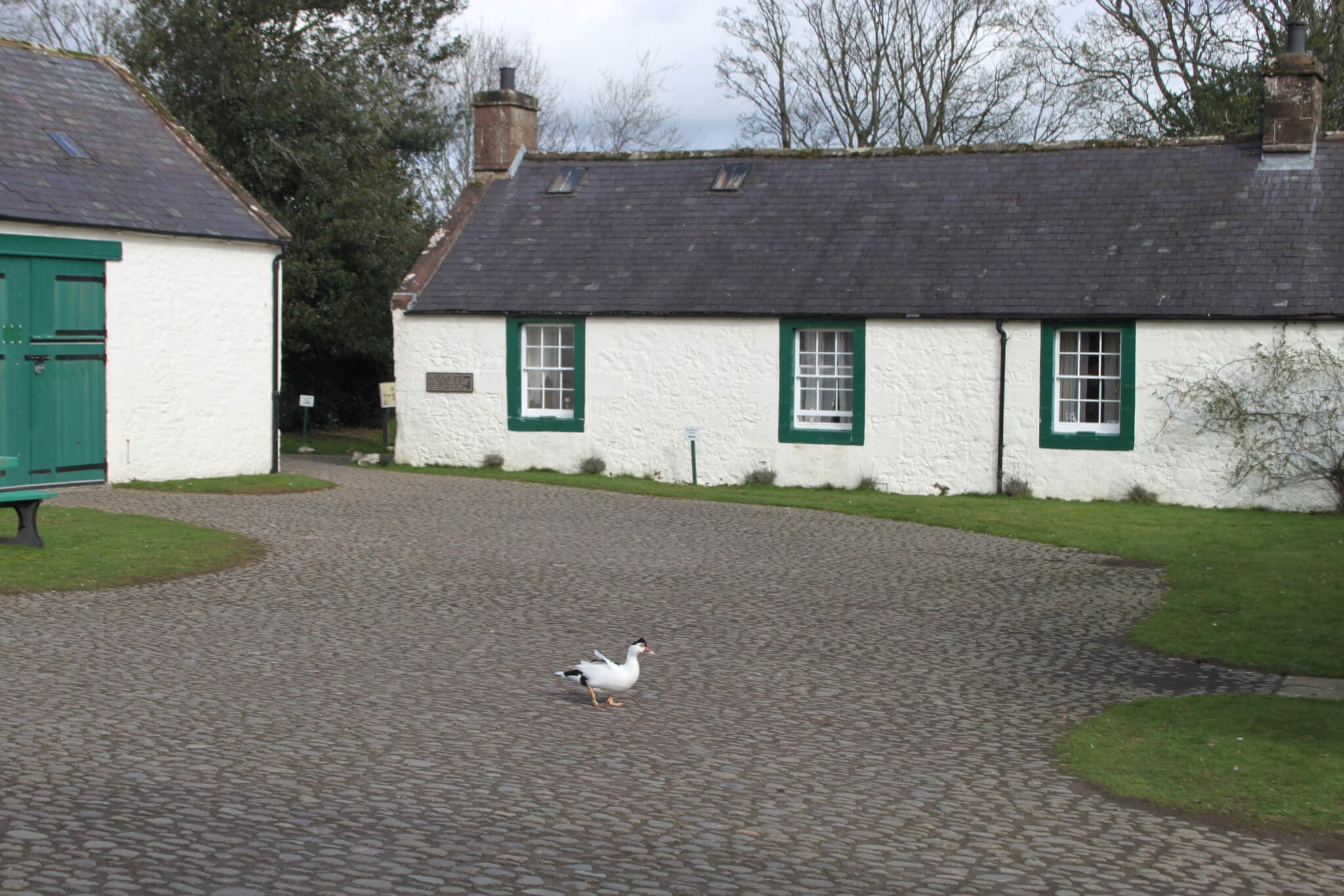 Ellisland Museum and Farm - Photo