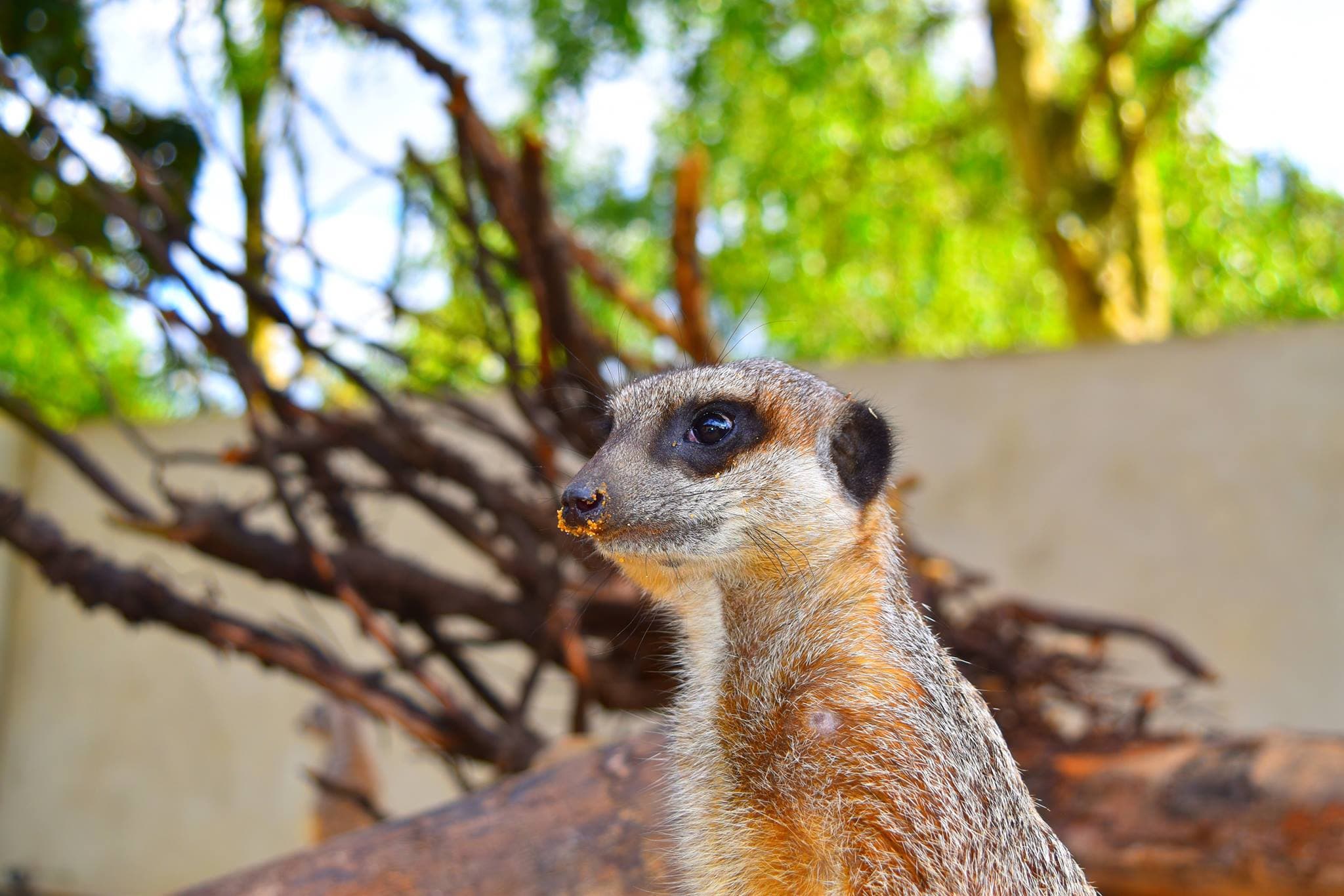 Hanwell Zoo - Photo