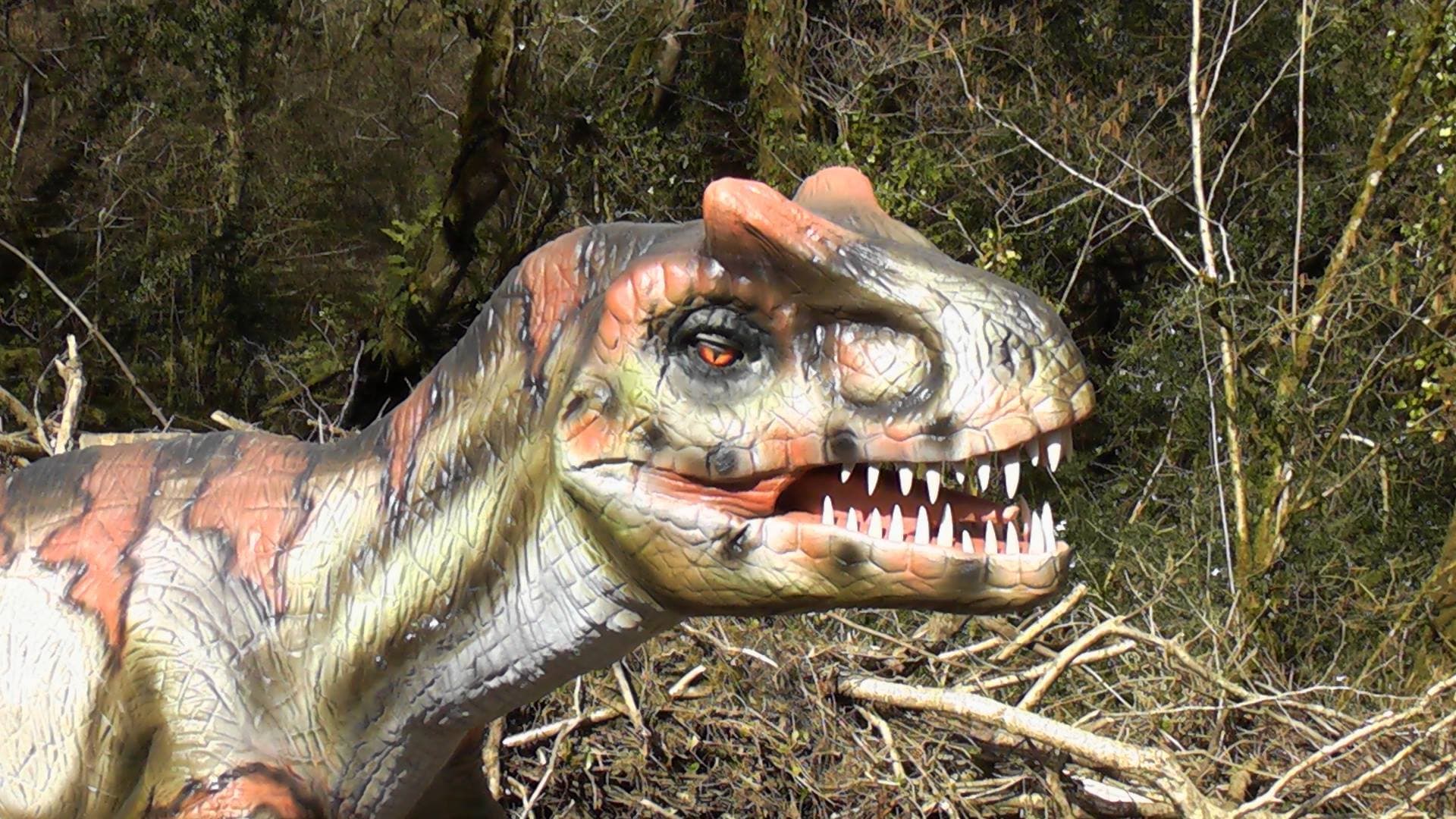 The Dinosaur Park Tenby - Photo