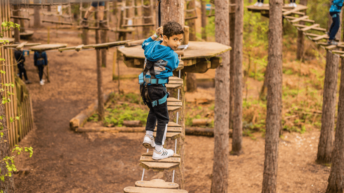 Go Ape Leeds Castle - Photo