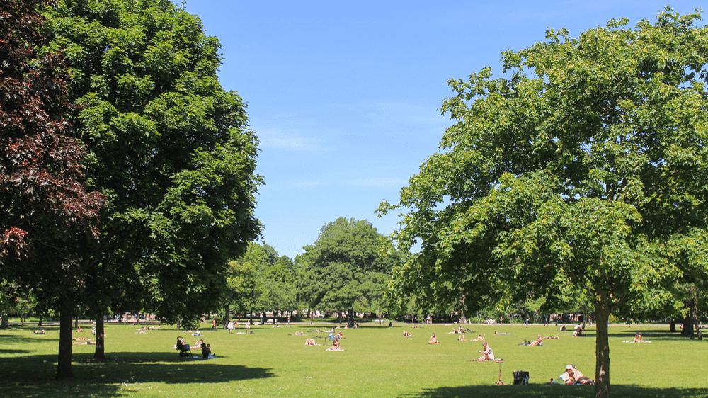 Victoria Park Tower Hamlets